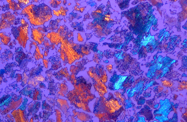 Ganador del calendario de febrero de 2024