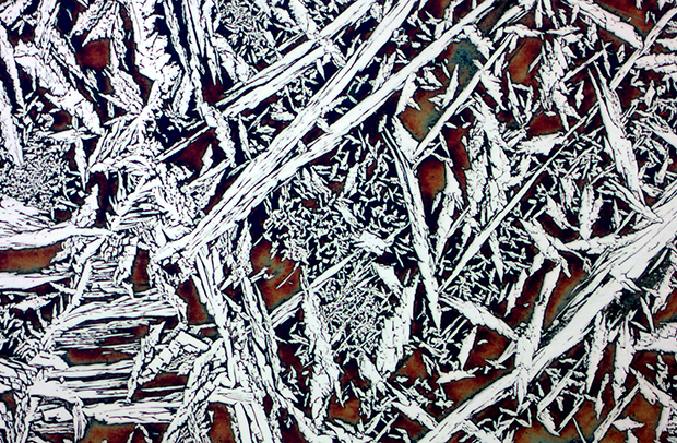 Ganador del calendario de enero de 2024