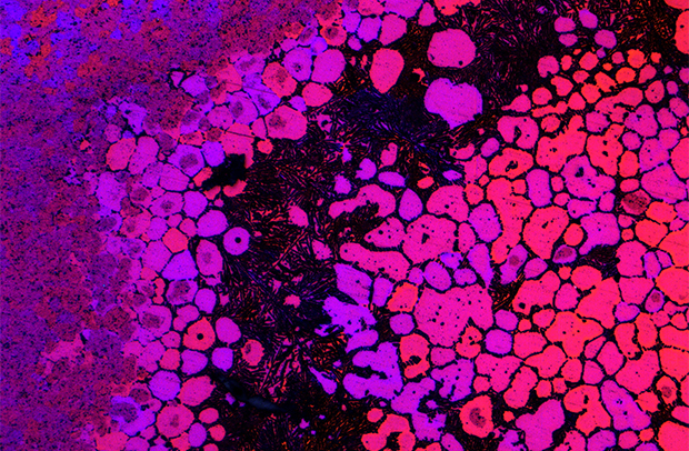 July 2024 Calendar Winner