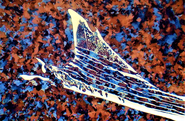 Ganador del calendario junio de 2024