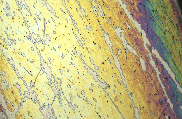 Ganador del calendario marzo de 2024