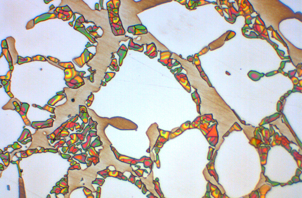 Ganador del calendario de noviembre de 2024
