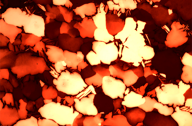 Ganador del calendario de octubre de 2024