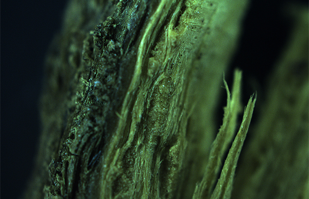 Ganador del calendario septiembre 2024