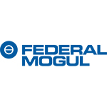 Federal Mogul Powertrain