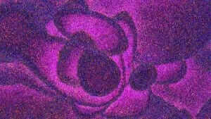 Buehler 2022 Microstructure Calendar winner