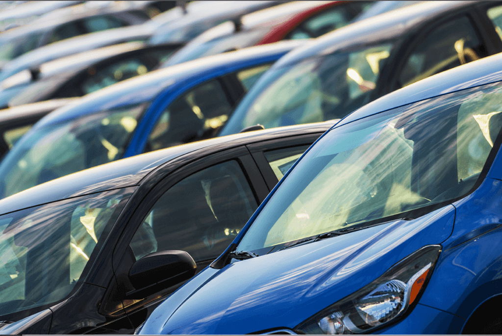 Entdecken Sie die Grundlagen