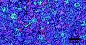 Figure 3.23 Aluminum as cast condition with colored dendrites revealed by anodizing with Barker’s reagent 40V for 460 seconds (polarized light, 25X).