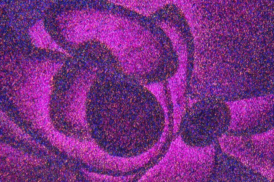 Éducation et recherche Éducation et recherche