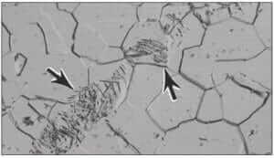 Figure 3.5 Preparation damage (arrows) in annealed CP titanium (500X, DIC, Kroll's reagent).
