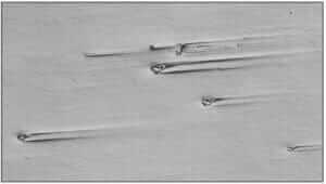Figure 3.7 Comet tails at large nitrides in an annealed H13 work die steel specimen (200X, DIC).