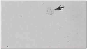 Figure 3.8 Staining (arrow) on the surface of a of Ti-6% Al-2% Sn-4% Zr-2% Mo prepared specimen (200X).