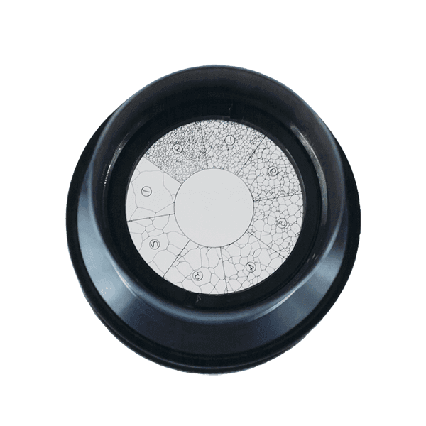 粒度レクチクル