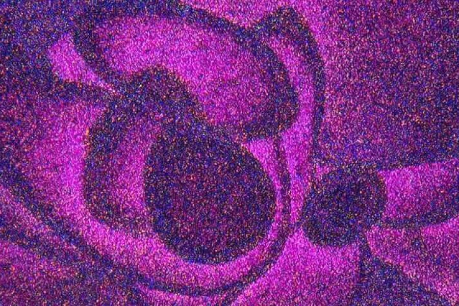 教育ソリューション