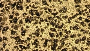 Figure 3.17 Lead alloy prepared by vibratory polishing.