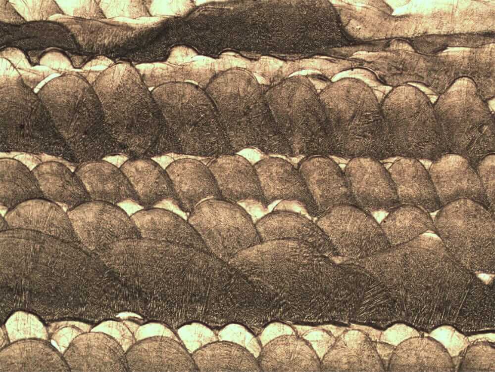 Inconel Microstructure