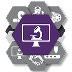 Image & Analysis Hexagon