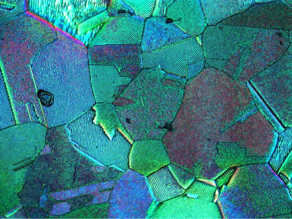 NeoTerra Microstructure 1